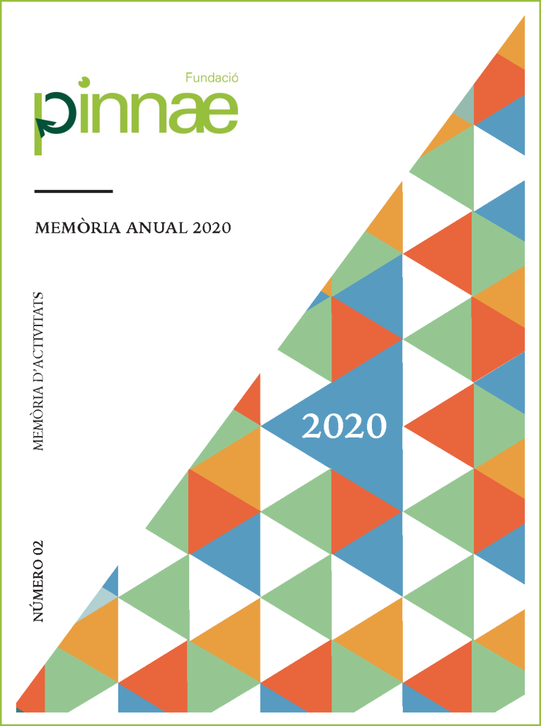 Portada memòria 2020 Fundació Pinnae