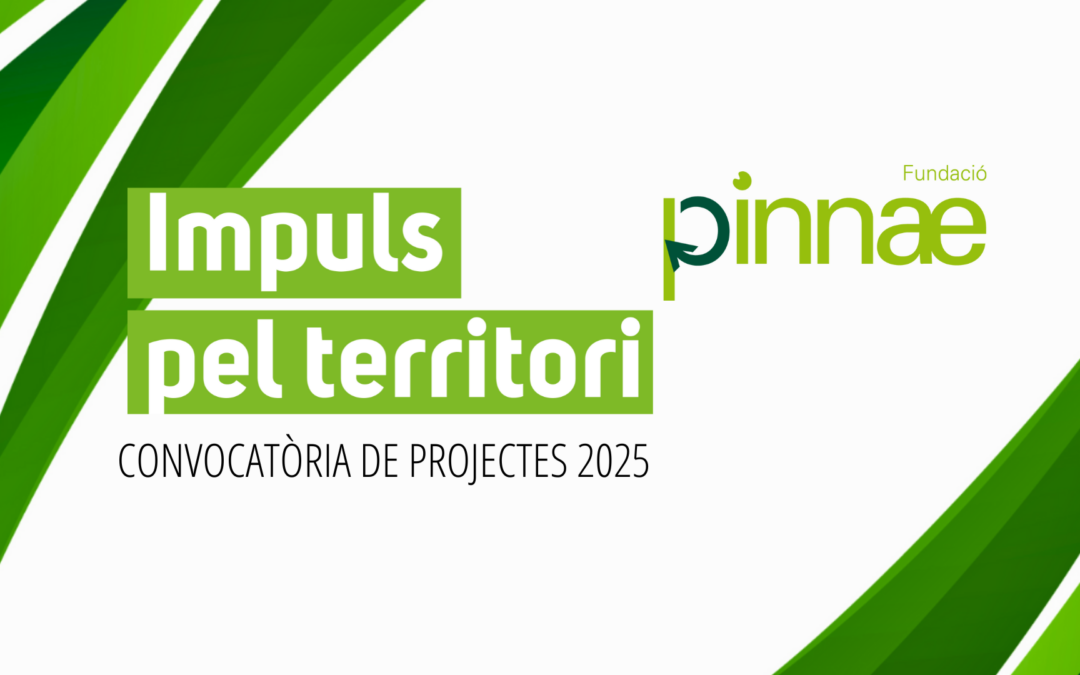 La Fundació Pinnae dona suport a 36 projectes de la Vegueria Penedès amb la dotació més gran de la seva història