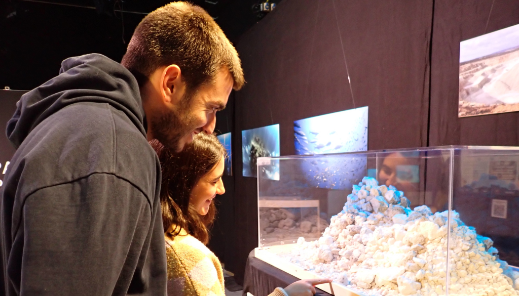 L’exposició “Un Mediterrani Viu” aterra a Vilanova i la Geltrú
