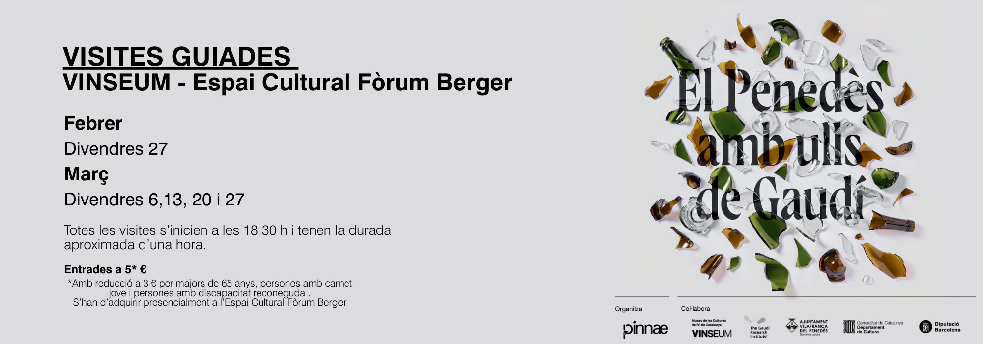 Visites guiades vinseum