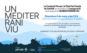 invitació a inauguració de l'exposició un mediterrani viu de Calafell.